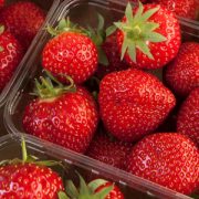 Scottish Food Fortnight 2018